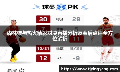 森林狼与热火精彩对决直播分析及赛后点评全方位解析